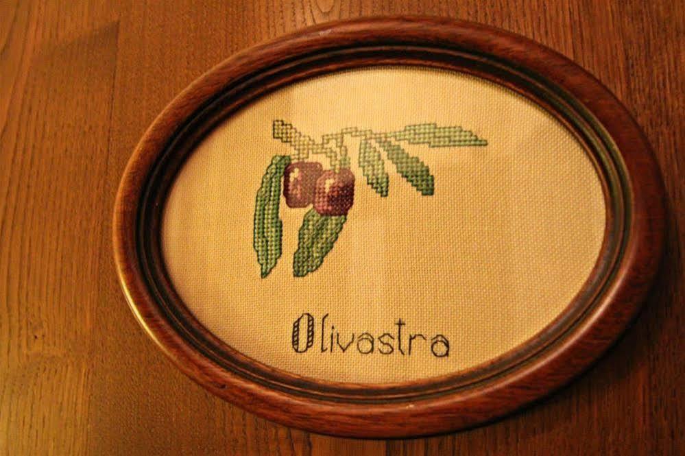 Ulivo Rosso Bed and Breakfast Sesto Fiorentino Buitenkant foto