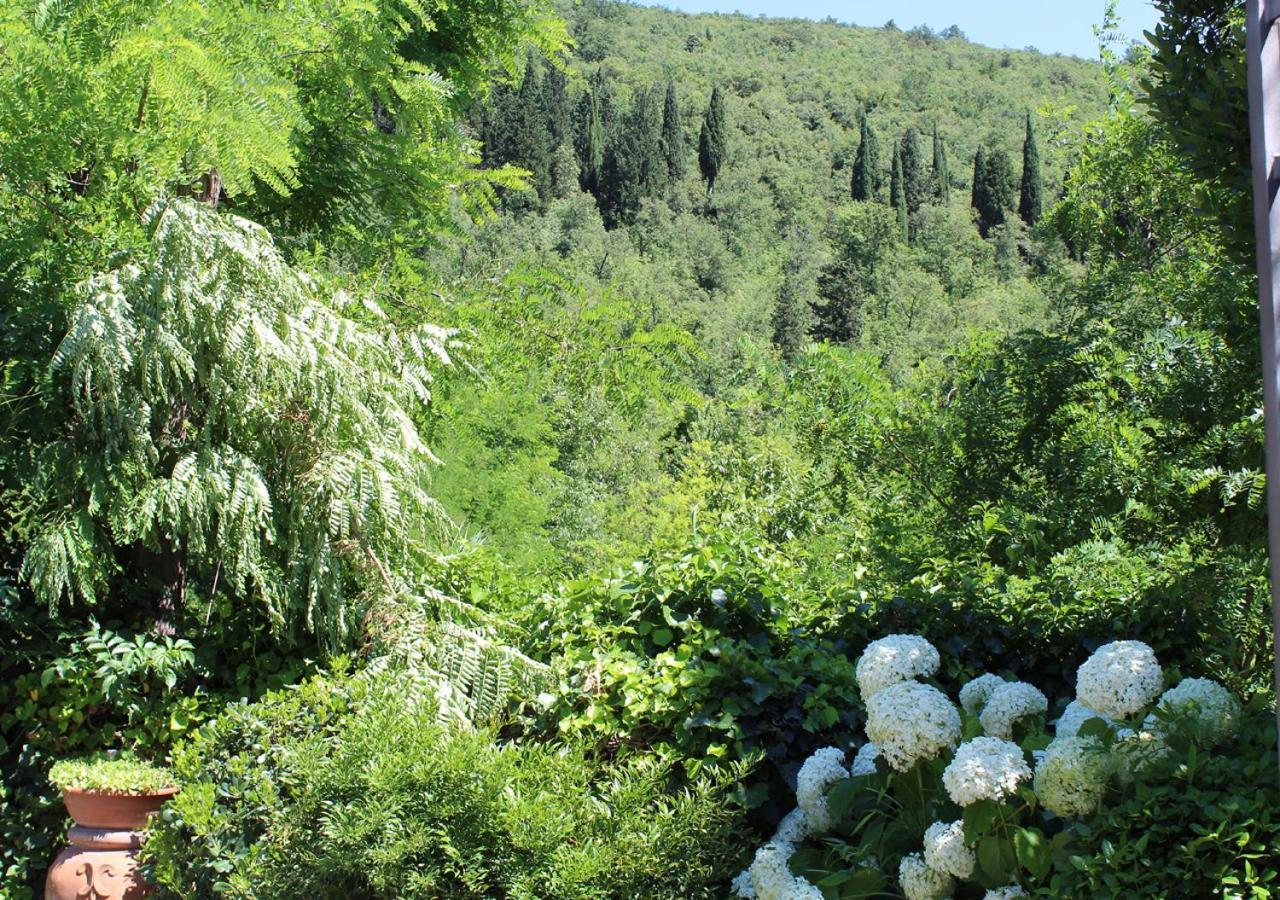 Ulivo Rosso Bed and Breakfast Sesto Fiorentino Buitenkant foto