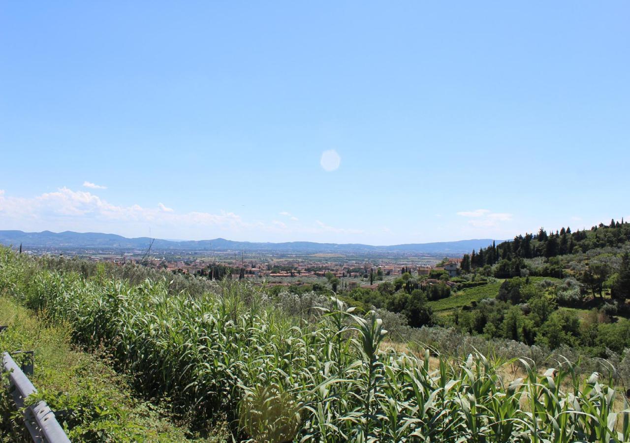 Ulivo Rosso Bed and Breakfast Sesto Fiorentino Buitenkant foto